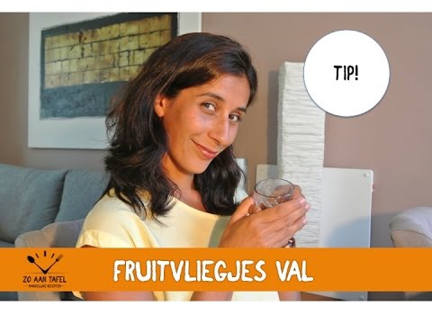 Fruitvlieg Val Maken: Efficiënte Tips Voor Een Vliegenvrije Keuken!