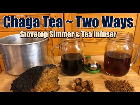 Chaga Thee Maken: Een Krachtige En Gezonde Drank