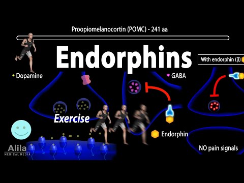 Hoe Maak Je Endorfine Aan: De Ultieme Gids