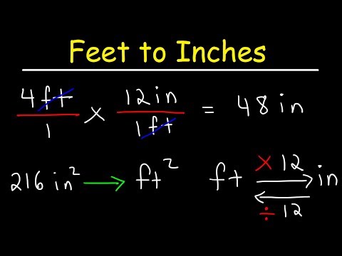 Lengte In Feet En Inches: Hoe Je De Omzetting Kunt Maken