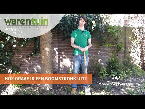 Hoe Wortels Van Een Boom Verwijderen Zonder Schade Te Veroorzaken