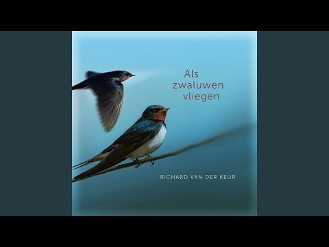 Als De Zwaluwen Laag Vliegen: Een Teken Van Naderend Onweer?