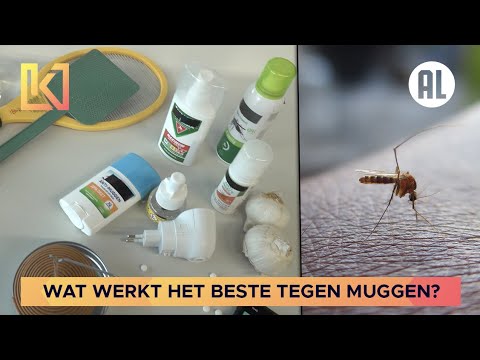 Hoe Lang Blijft Een Muggenbult Jeuken?