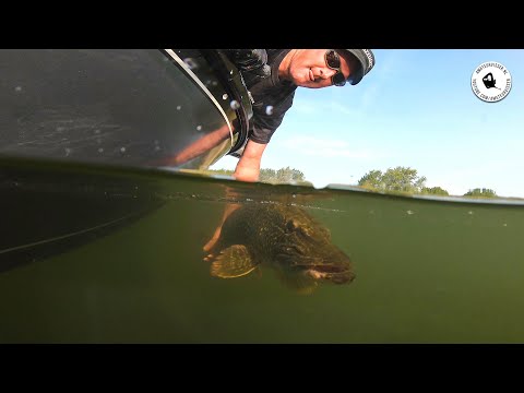 Hoe Groot Is Het Veluwemeer: Feiten En Cijfers