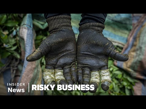 Hoe Wordt Cocaïne Gemaakt: Een Diepgaande Kijk Op Het Productieproces