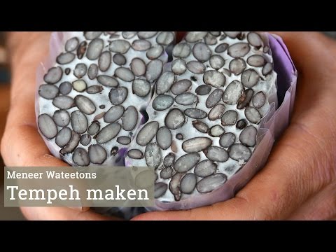 Tempeh Maken: Zelfgemaakte Heerlijkheid In Nederlands